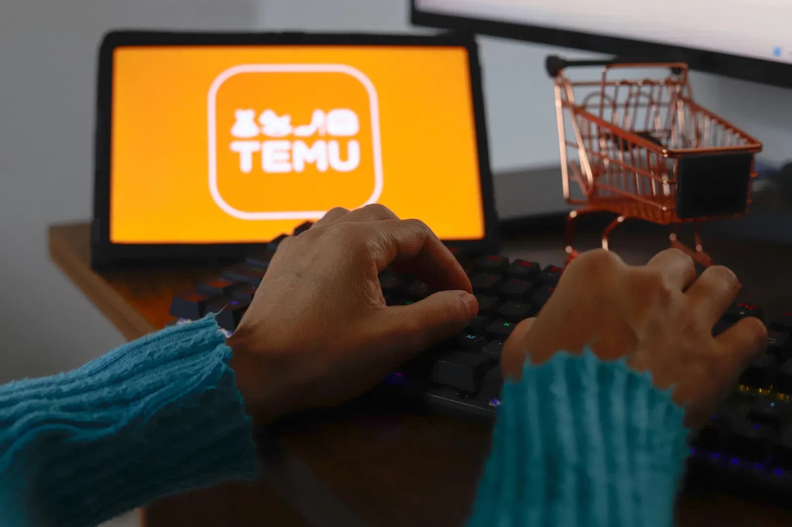 Temu Reviews on Customer Service