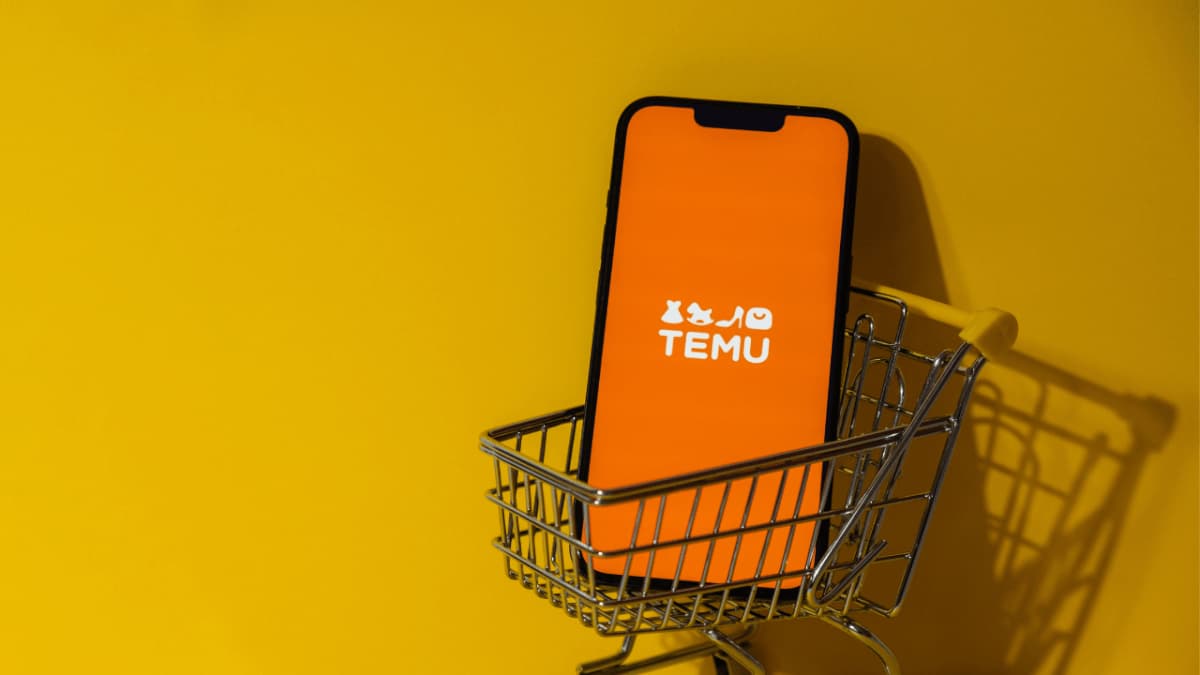 Best Temu Shopping Suggestions for Smart Buyers in 2025
